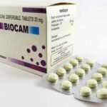 Biocam 20mg