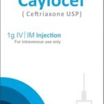 Caylocef 1gm
