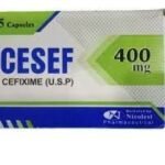 Cesef