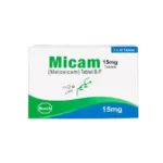 Micam (1)