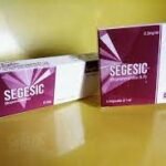 Segesic