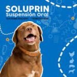 Soluprin