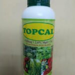 Topcal