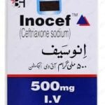 inocef