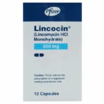 Lincocin