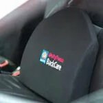 Molty Ortho Back Care