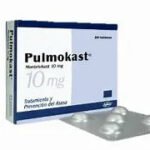 Pulmikast
