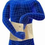 Smart Flamingo Abdominal Belt - 2002- XL