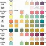 Urine Dip Strip 1 x 10's Pcs. Pack